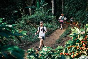 BIB: 
                            <button type="button" onclick="openModal(25825897)" class="btn btn-primary btn-sm float-right btn-popup" data-toggle="modal" data-target=".modal-high-quality">
                        <i class="fas fa-shopping-cart"></i> Add to Cart
                    </button>
                                            <button type="button" onclick="isThisMe(25825897, true)" class="btn btn-success btn-sm float-right btn-popup btn-isme hidden" data-toggle="tooltip" data-placement="bottom" title="นี่คือรูปของคุณใช่ไหม คลิกที่นี่เพื่อเอาเข้าอัลบั้ม">
                        <i class="fas fa-plus"></i> Add to album
                    </button>
                    <button type="button" onclick="isThisMe(25825897, false)" class="btn btn-warning btn-sm float-right btn-popup btn-isnotme hidden">
                        <i class="fas fa-ban"></i> Remove from album
                    </button>